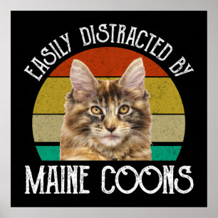 Easily Distracted By Maine Coons Poster