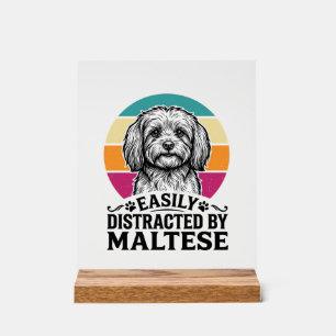 Easily Distracted By Maltese Vintage Dog Design_1 Acrylic Sign