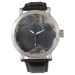 East Africa, Tanzania Watch