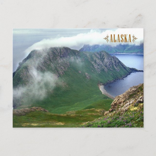 East Amatuli Island, Barren Islands, Alaska Postcard (Front)