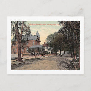 East Park Ave., Tallahassee, Florida Vintage Postcard