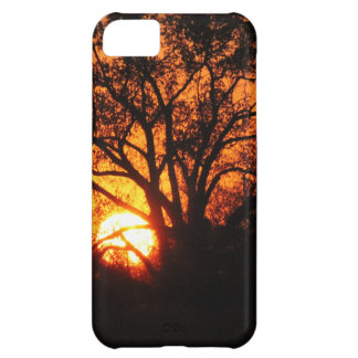 East Texas Sunset Cover For iPhone 5C