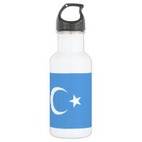 East Turkestan Uyghur Flag