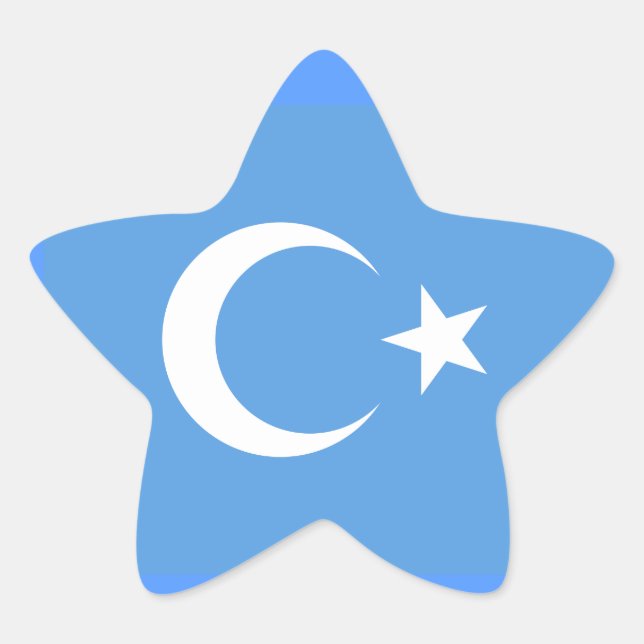 East Turkestan Uyghur Flag Star Sticker (Front)