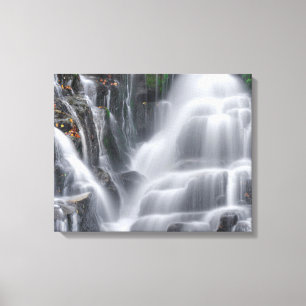 Eastatoe Falls Canvas Print