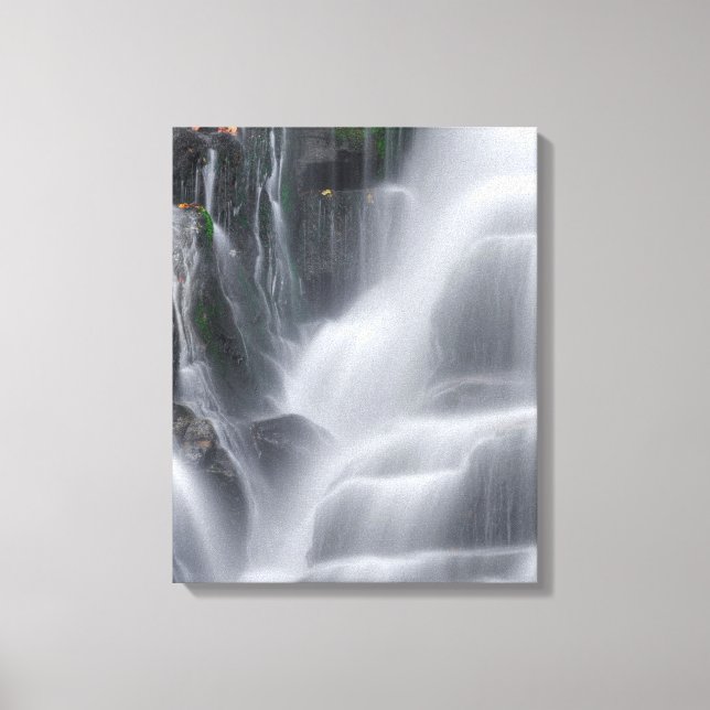 Eastatoe Falls Canvas Print (Front)