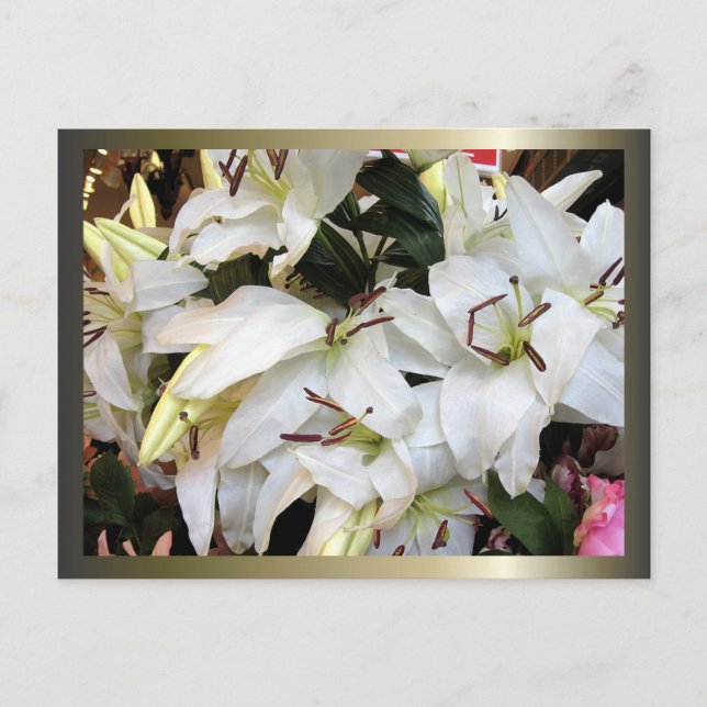 Easter and Palm Sunday Crosses and Scenes Holiday Postcard (Front)