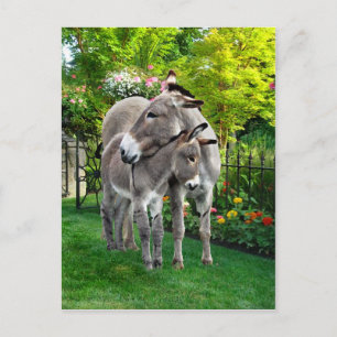 "Easter & Baby Eno" Postcard