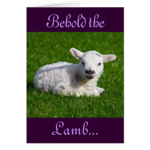 Easter Behold the Lamb Holiday Card