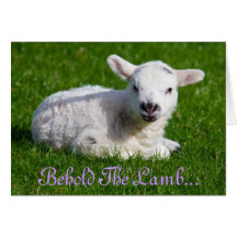 Easter Behold the Lamb Holiday Card