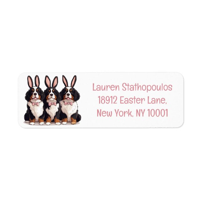 Easter Bernese Mountain Dogs (Front)