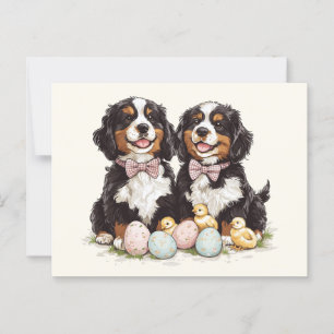 Easter Bernese Mountain Dogs Easter Eggs Postcard
