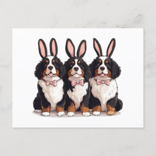 Easter Bernese Mountain Dogs Postcard