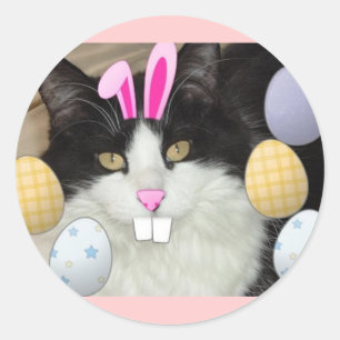 Easter Black and White Cat Classic Round Sticker