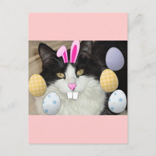 Easter Black & White Cat Holiday Postcard