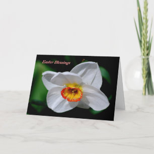 Easter Blessings Holiday Card