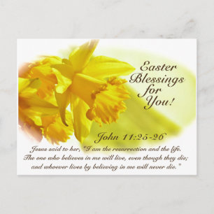 Easter Blessings, John 11:25-26, Daffodils Holiday Postcard