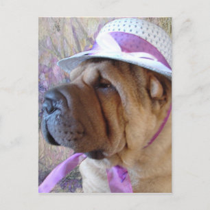 Easter Bonnet Holiday Postcard