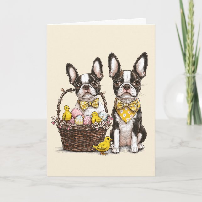 Easter Boston Terrier Dogs Card (Front)