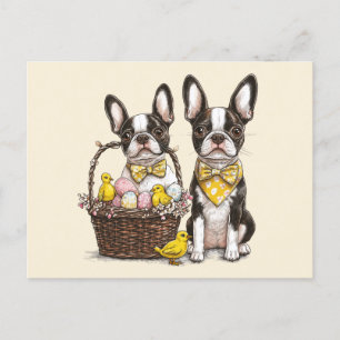 Easter Boston Terrier Dogs Postcard