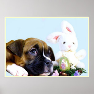 Easter boxer puppy poster