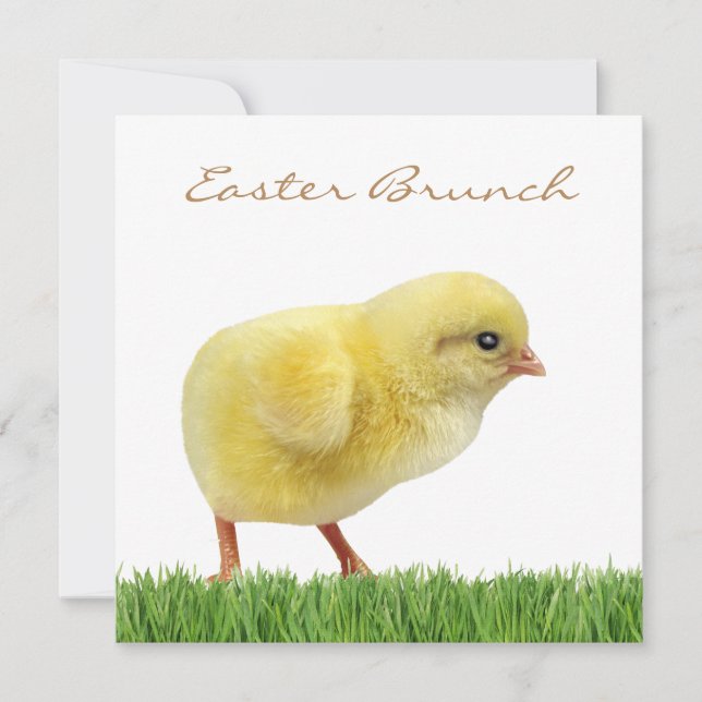 easter brunch square 5.25" x 5.25" Invitations (Front)
