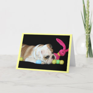 Easter Bulldog greeting card
