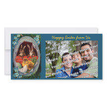 Easter Bunnies and Chick Vintage Photo Card