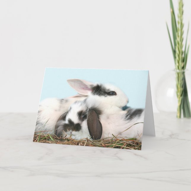 Easter bunnies holiday card (Front)