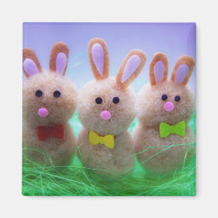 Easter bunnies magnet