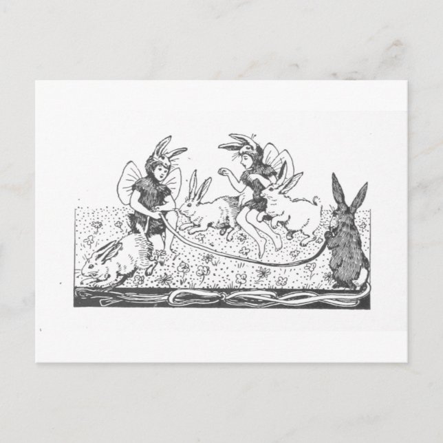 Easter Bunnies Vintage Book Illustration Postcard (Front)