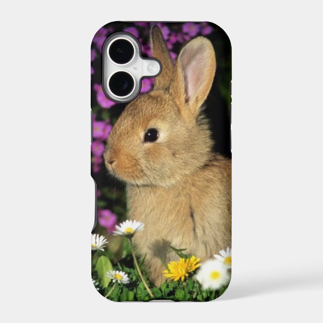 Easter Bunny (Back)