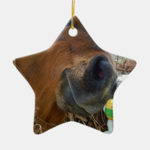 Easter Bunny and Brown horse Ceramic Ornament