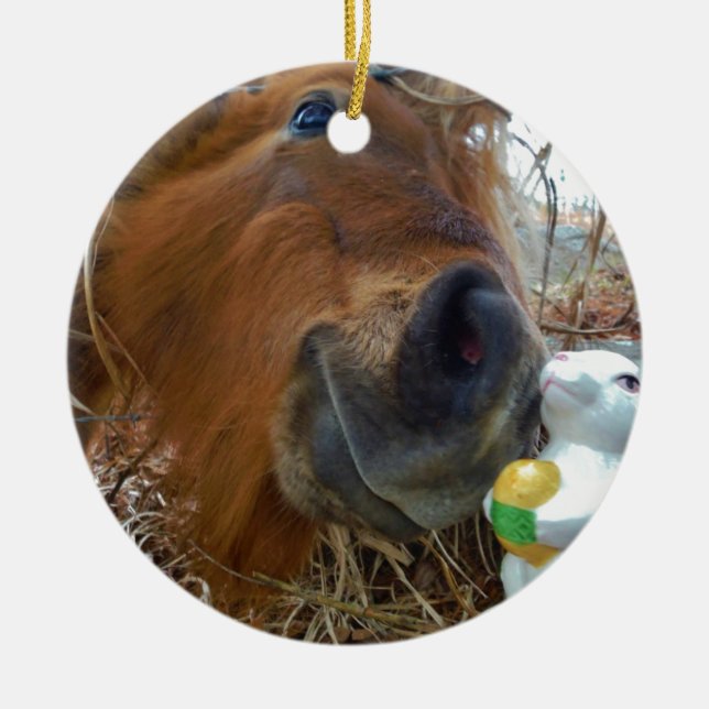 Easter Bunny and Brown horse Ceramic Ornament (Front)