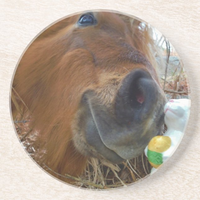 Easter Bunny and Brown horse Coaster (Front)