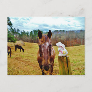 Easter Bunny and Brown horse Holiday Postcard