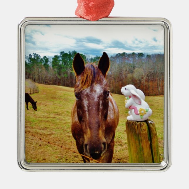 Easter Bunny and Brown horse Metal Ornament (Front)