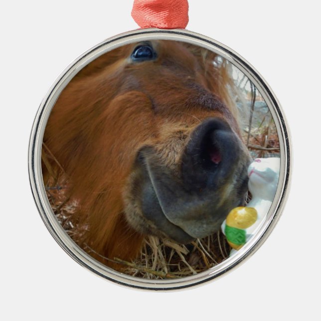 Easter Bunny and Brown horse Metal Ornament (Front)