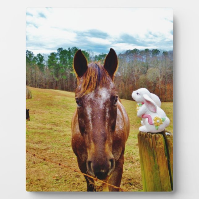 Easter Bunny and Brown horse Plaque (Front)