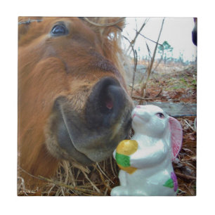 Easter Bunny and Brown horse Tile