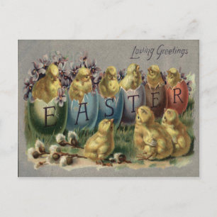 Easter Bunny Basket Coloured Egg Sun Flower Field Holiday Postcard