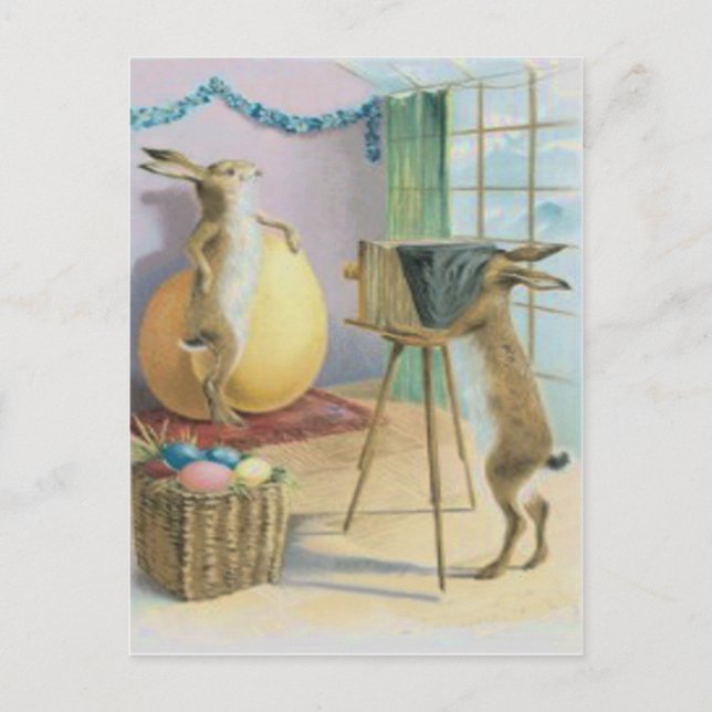 Easter Bunny Camera Photography Easter Coloured Eg Holiday Postcard (Front)