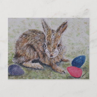 Easter Bunny Card