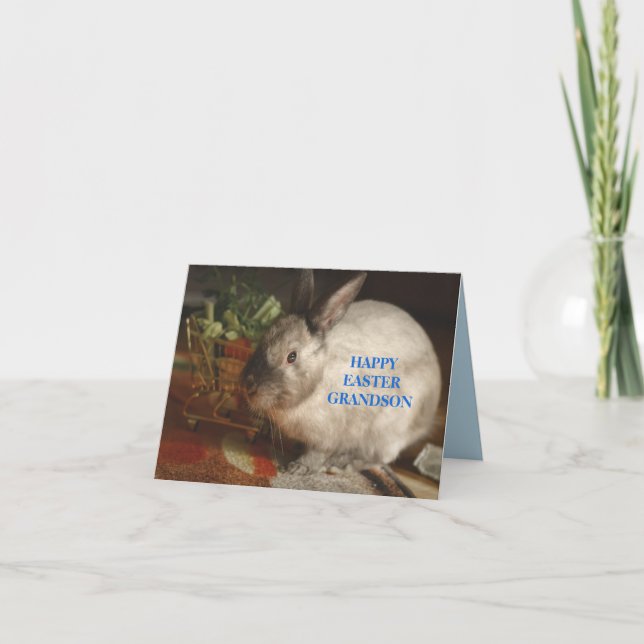 EASTER BUNNY CARD FOR GRANDSON (Front)