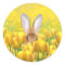 Easter Bunny