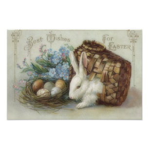 Easter Bunny Coloured Painted Egg Basket Forget Me Photo Print