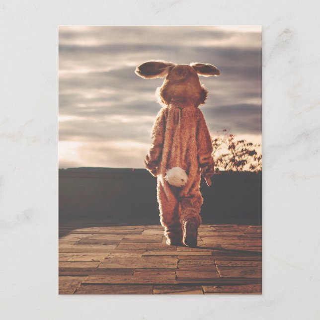 Easter Bunny Costume Holiday Postcard (Front)