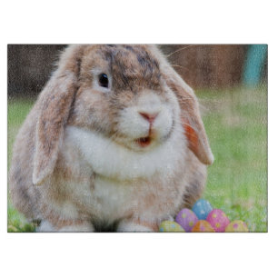 Easter Bunny Cutting Board