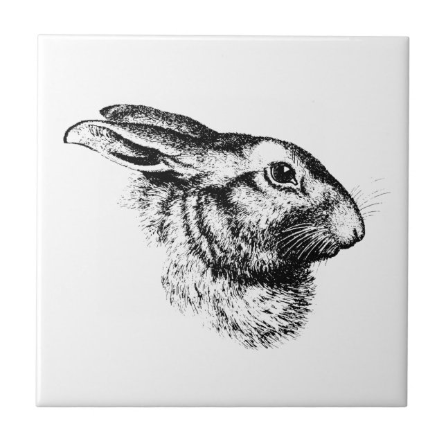 Easter Bunny Hare Rabbit Vintage Illustration Tile (Front)