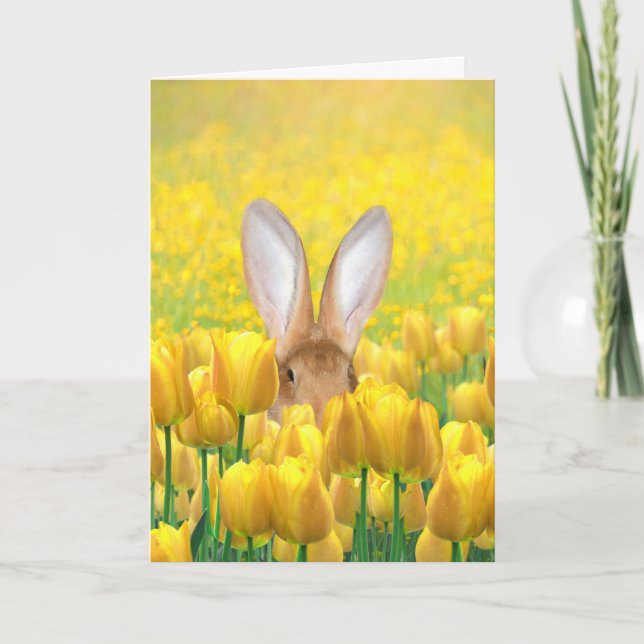 Easter Bunny Holiday Card (Front)